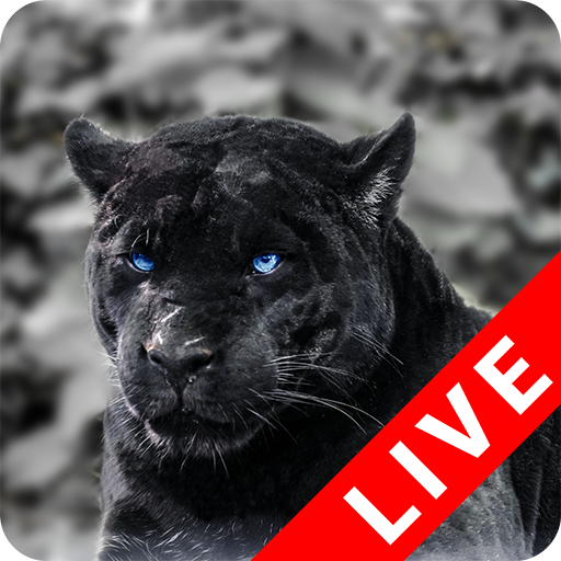 Black Panther Live Wallpaper icon