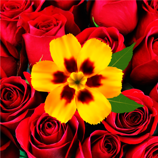 Flower Wallpaper 4K &amp; HD أيقونة