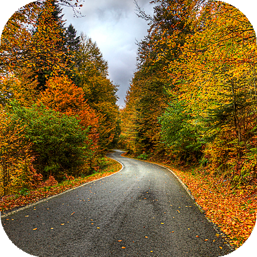 Autumn Wallpapers | hd backgrounds icon