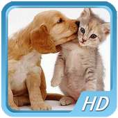 Pet Videos on 9Apps