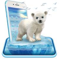 Glacier Baby Bear Theme on 9Apps