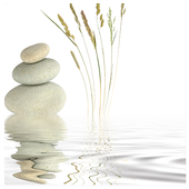 Start Your Coaching Business (E-Book) icon