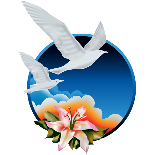 New Image International icon