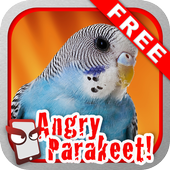 Angry Parakeet Free! icon
