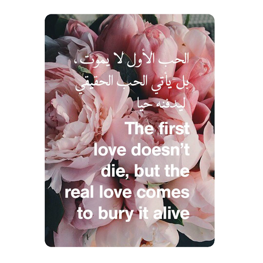 Beautiful Arabic Quotes about Love icon