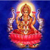 ( Free Trial ) Satta Matka icon