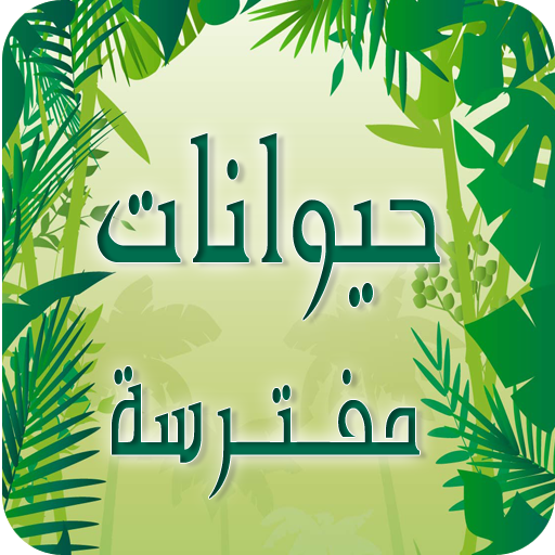 Animals Names in Arabic icon