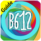 Free B612 Selfie Camera Guide icon
