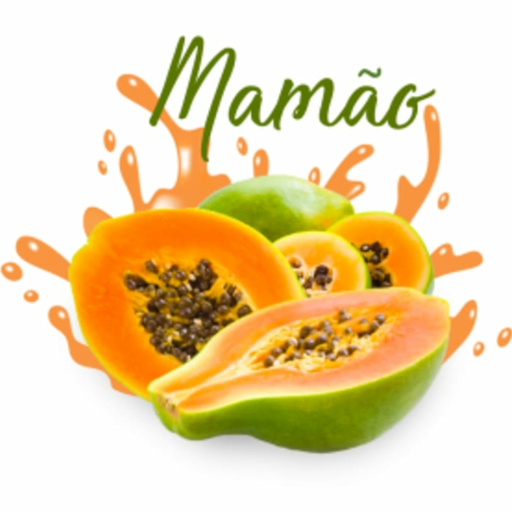 Como Plantar Mamão icon