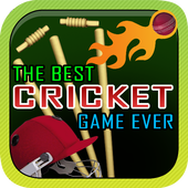 The Best Cricket Game Ever icon