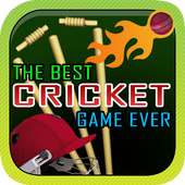 The Best Cricket Game Ever