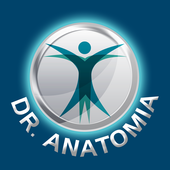 Dr. Anatomia icon