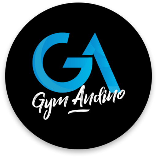 GYM ANDINO LIMITADA icon