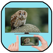 Screen Sharing Smart View icon