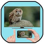Screen Sharing Smart View