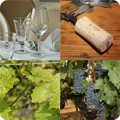 Four Scenes One Word आइकन