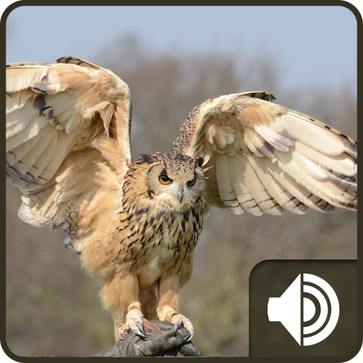 Owl Sounds icon
