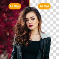 Auto Blur, Auto Cut Paste, Auto Background Changer on 9Apps