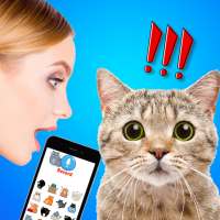 Cat Translate: Speak to your Kitten (simulator) on 9Apps