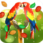 Birds Live Wallpaper icon