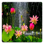 Flowers Digital Clock icon