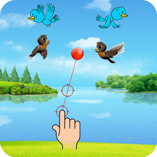 Catch The Birds icon