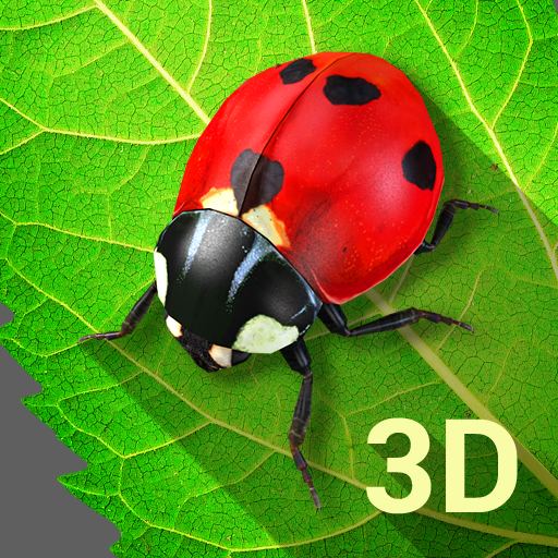 Bugs Life 3D Free - 3D Live Wallpaper icon