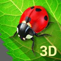 Bugs Life 3D Free - 3D Live Wallpaper
