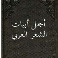 أجمل أبيات الشعر العربي 2 on 9Apps
