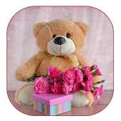 oso de peluche lindo on 9Apps