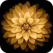 Smart Gallery أيقونة