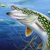 Обои про рыбалку