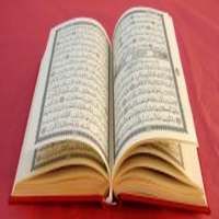 Al-Quran (শব্দে-শব্দে)