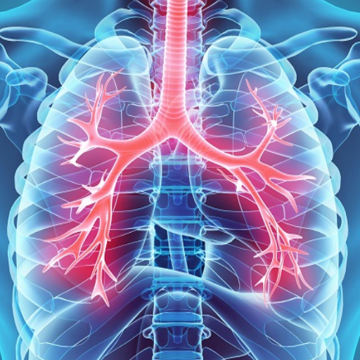 Respiratory diseases &amp; respiratory therapy icon