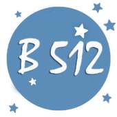 B512 Selfie Emoji Camera