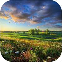 Hd Nature Wallpaper 2 on 9Apps