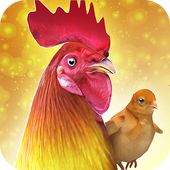 Rooster Chicks - Chicken Farm icon