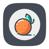 Orange Browser icon