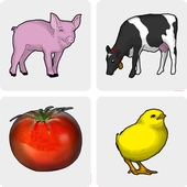 Baby Farm - Memory Game icon