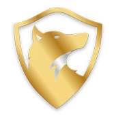 Dr. Wolf Internet Security