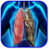 How to Fight Lung Inflammation