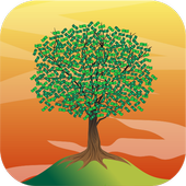 Money Tree icon