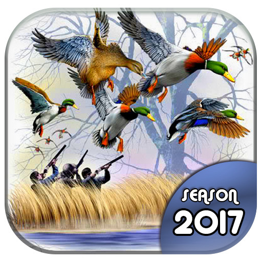 Duck Hunting 3D: Seasons 2017 icon