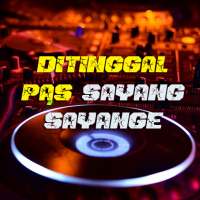 Ditinggal Pas Lagi Sayang Sayange - Full Album on 9Apps