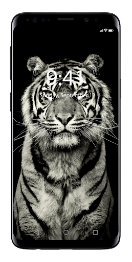 🔴 4.000  Amoled Wallpapers (HD / 4K Super Amoled) 16 تصوير الشاشة