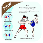 Muay Thai Technique icon