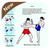 Muay Thai Technique on 9Apps