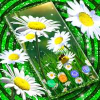 Daisy Parallax Wallpapers 🌼 HD Live Wallpapers on 9Apps