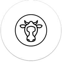 Dairy Diaries on 9Apps