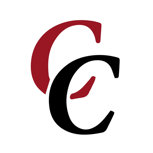 Car Controlling icon